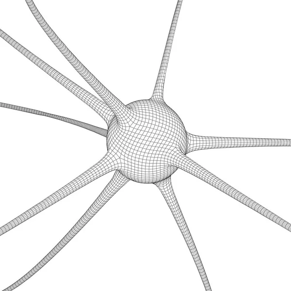 Modelo de malha de wireframe do sistema de neurônios . — Vetor de Stock