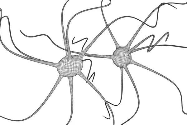 Modelo de malha de wireframe do sistema de neurônios . — Vetor de Stock