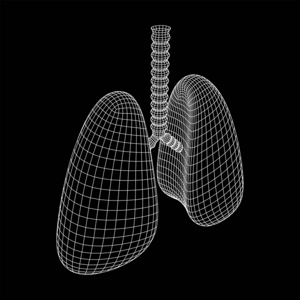 Lungen mit Luftröhre Bronchien internes Organ Mensch — Stockvektor