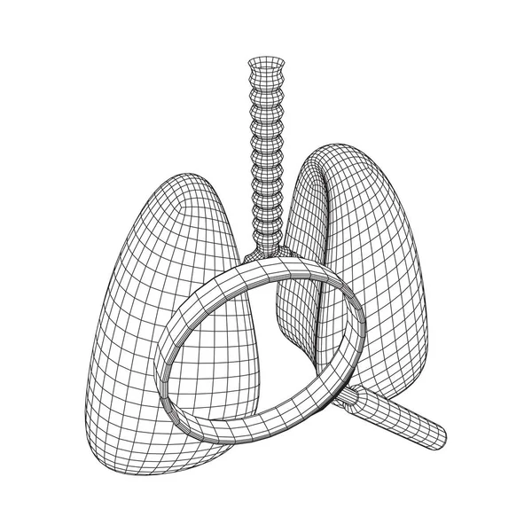 Pulmones con tráquea bronquios órgano interno humano — Vector de stock