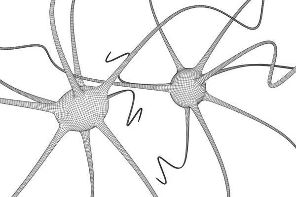 ニューロン システム ワイヤ メッシュ モデル. — ストックベクタ