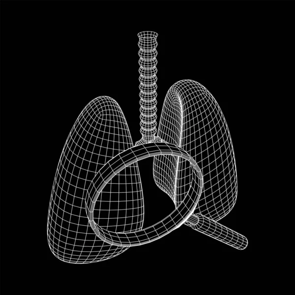 Pulmones con tráquea bronquios órgano interno humano — Archivo Imágenes Vectoriales