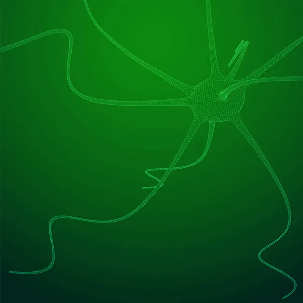 Modello di rete wireframe del sistema Neuron . — Vettoriale Stock