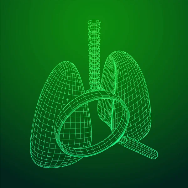 Longen met luchtpijp bronchiën inwendig orgaan menselijk — Stockvector