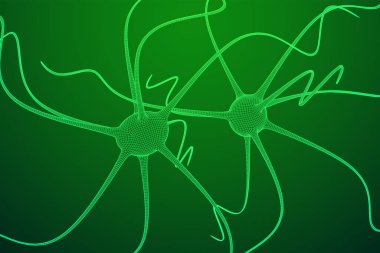 Nöron sistem tel kafes kafes modeli.