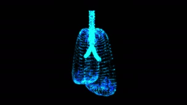 Paru-paru dengan trachea bronchi internal organ manusia — Stok Video