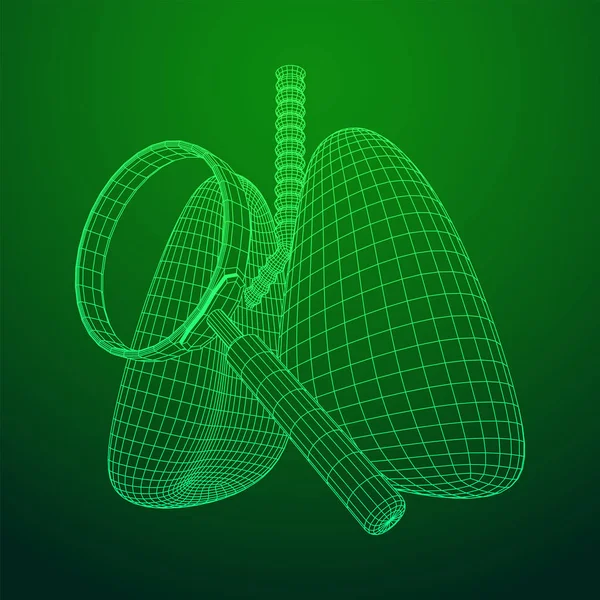 Lunger med luftrør bronchi indre organ menneske – Stock-vektor