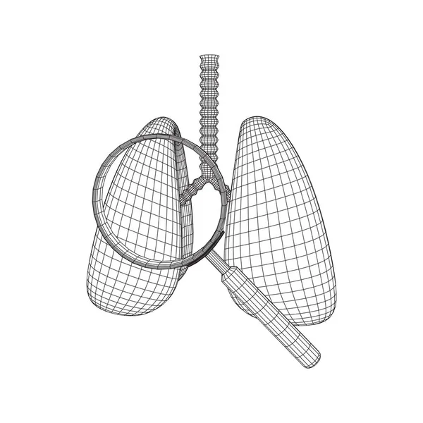 Pulmones con tráquea bronquios órgano interno humano — Archivo Imágenes Vectoriales