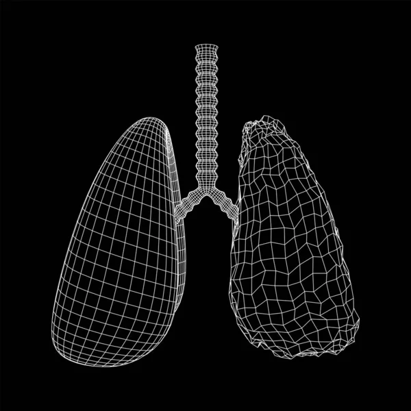 Pulmones con tráquea bronquios órgano interno humano — Archivo Imágenes Vectoriales