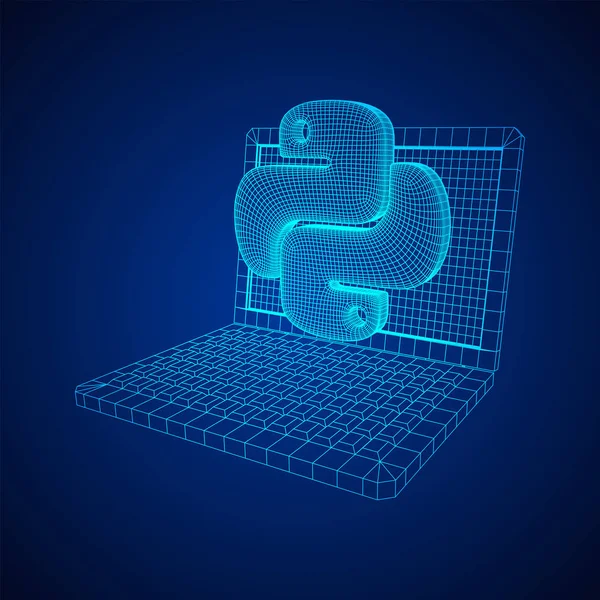 Python kod dili işareti — Stok Vektör