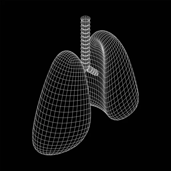 Pulmões com brônquios de traqueia órgão interno humano —  Vetores de Stock