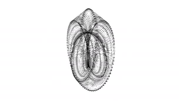 Mobius tira anel geometria sagrada. Figura espacial com superfícies viradas para cima . — Vídeo de Stock