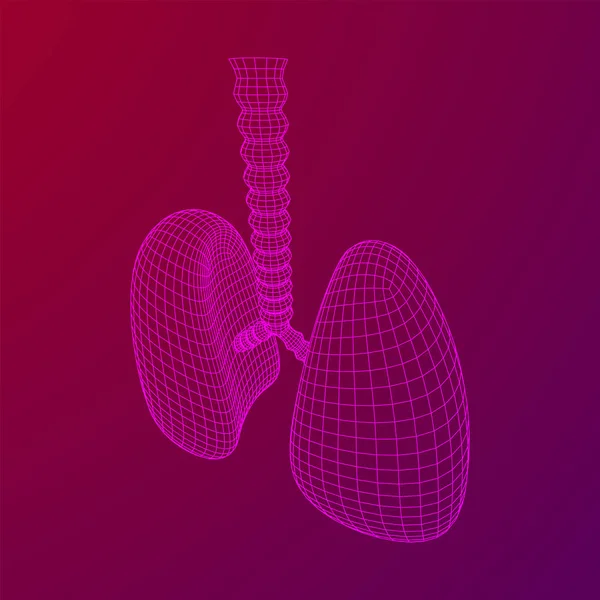 Poumons avec trachée bronches organe interne humain — Image vectorielle