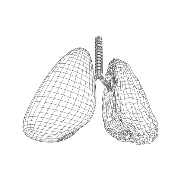 Płuca z tchawicą oskrzela narządy wewnętrzne człowieka — Wektor stockowy