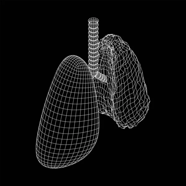 Poumons avec trachée bronches organe interne humain — Image vectorielle