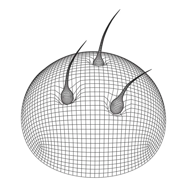 Folículo de cabelo proteger conceito de tecnologia cosmética cuidado — Vetor de Stock