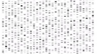 Big Genomic Data Visualization - DNA Test, Barcoding, Genome Map Architecture