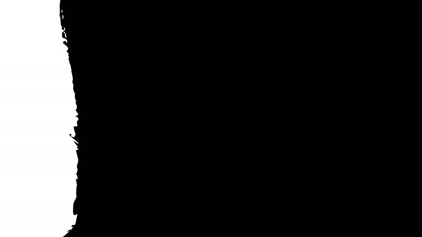 Coup de pinceau noir et blanc fond de transition .