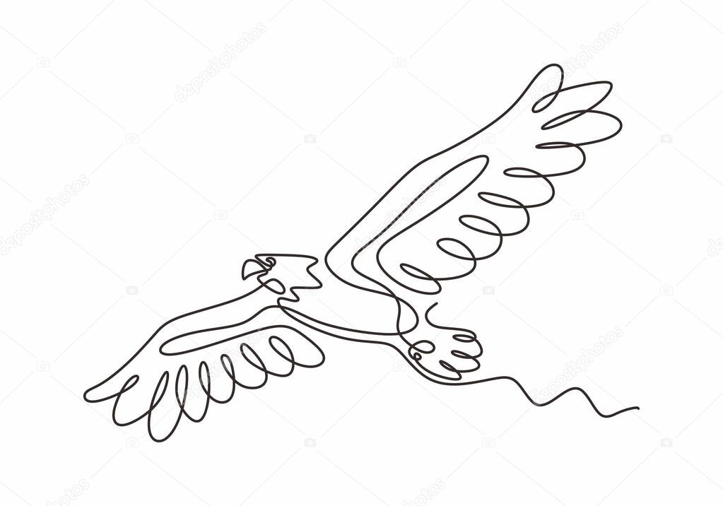 Continuous one line drawing of eagle or hawk bird vector, Illustration minimalism birds flying on the sky. Concept of freedom animal hand drawn sketch design. Simplicity style.