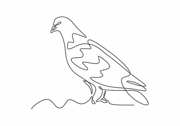鸽子或鸽子鸟连续一行画出简约主义风格 矢量手绘草图动物鸟类设计 — 图库矢量图片