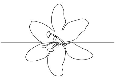 Çiçek bir çizgi orkide minimalizmi çiziyor. vektör el çizimi minimalizm.