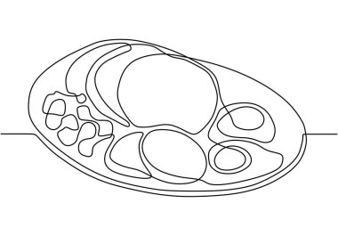 Food on the plate continuous one line drawing. Vector meal for eating minimalism illustration hand drawn sketch doodle lineart design. vector Food on the plate continuous one line drawing. Vector meal for eating minimalism illustration hand drawn sketch doodle lineart design. vector