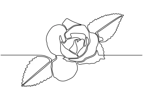 バラの花の植物の連続線画。花のベクトルイラストはミニマリズムスタイルを植えます。シンプルな植物園の手描きのスケッチミニマリスト. — ストックベクタ