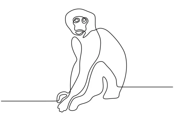 Dibujo continuo de línea del vector animal mono. Estilo de minimalismo de vida silvestre dibujado a mano . — Vector de stock