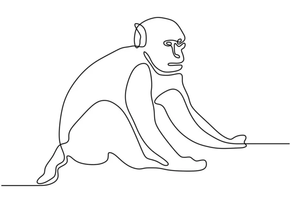 원숭이 동물 벡터의 선그리기. 손으로 그린 야생 동물 테마 미니멀리즘. — 스톡 벡터