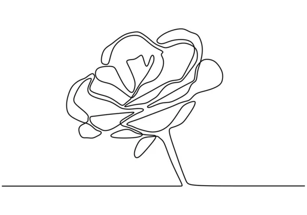 Flor uma linha desenho minimalismo arte vetor. Desenho contínuo desenhado à mão única . — Vetor de Stock