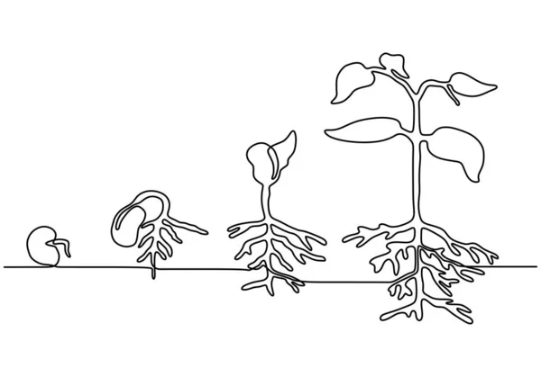 Le piante crescono isolate su sfondo bianco o semi di piante, crescendo e coltivando utilizzando un'illustrazione vettoriale stile disegno a una linea — Vettoriale Stock