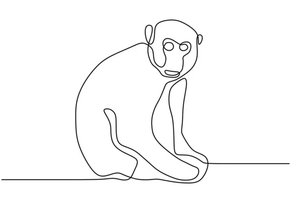 Dessin linéaire continu du vecteur animal singe. Faune dessinée à la main style minimalisme . — Image vectorielle