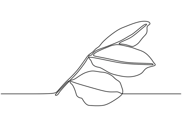 Löv en linje ritning. Kontinuerlig handritad skiss av blad växt botaniska trädgård minimalism stil. — Stock vektor