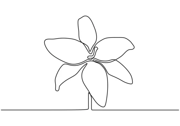 Handritade orkidéblommor. Kontinuerlig En linje ritning. Minimalistisk konst vektor minimalism. — Stock vektor