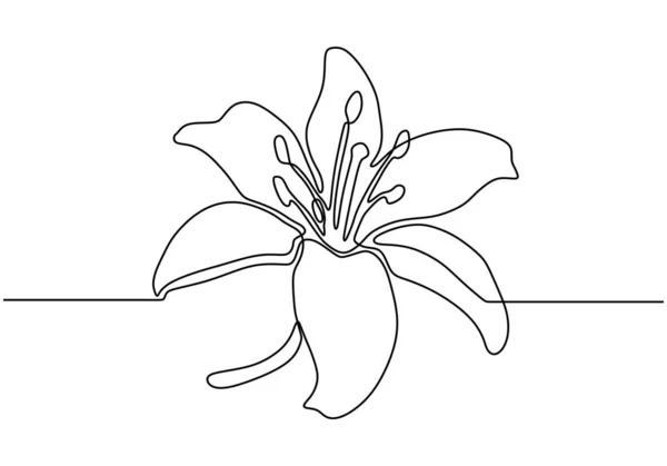 El çizimi orkide çiçekleri. Aralıksız tek çizgi çizimi. Minimalist sanat vektörü minimalizmi. — Stok Vektör