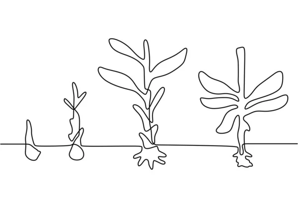 Этап непрерывного роста растений с векторным минимализмом . — стоковый вектор