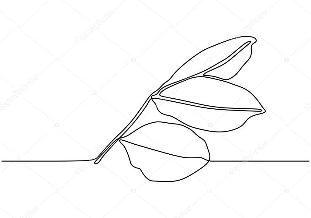 Leaf one line drawing. Continuous hand drawn sketch of leaves plant botanical garden minimalism style.