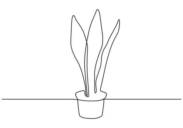 Continu een lijn tekening van sappige plant minimalisme ontwerp. Plant op de pot. — Stockvector