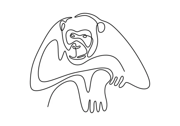 One line monkey drawing. Vector animal chimpanzee. — Stock Vector