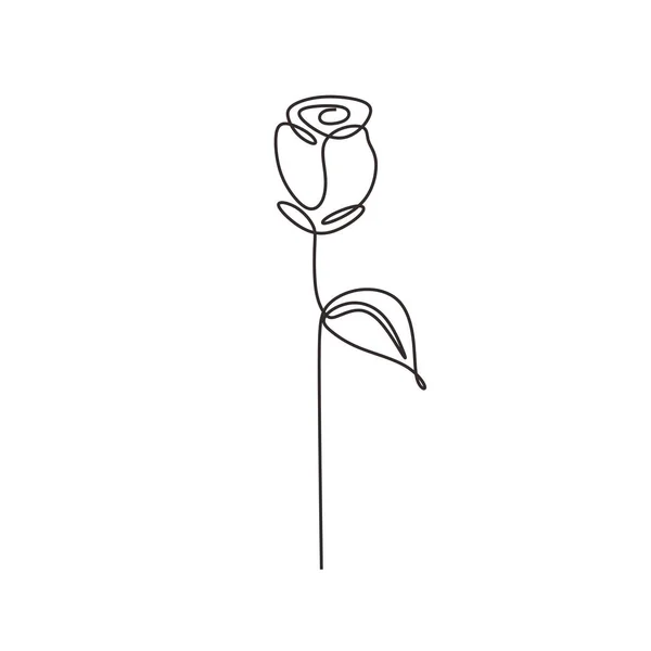 Rose continuous line drawing. Vector flower plant minimalism hand drawn. — 图库矢量图片