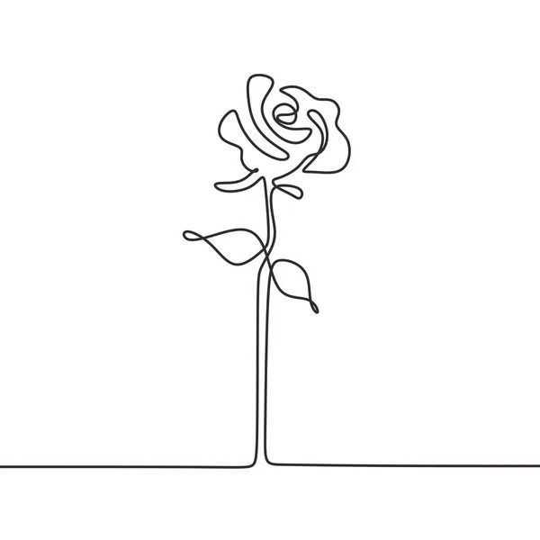 Dibujo de línea continua Rose. Vector flor planta minimalismo dibujado a mano . — Archivo Imágenes Vectoriales