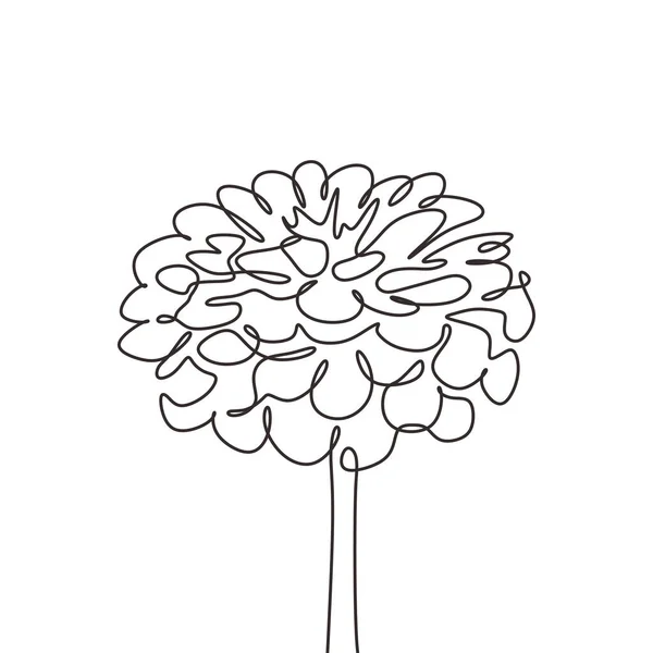 Continuous line drawing of flower minimalism vector illustration. Hand drawn botanical artwork isolated on white background. — ストックベクタ