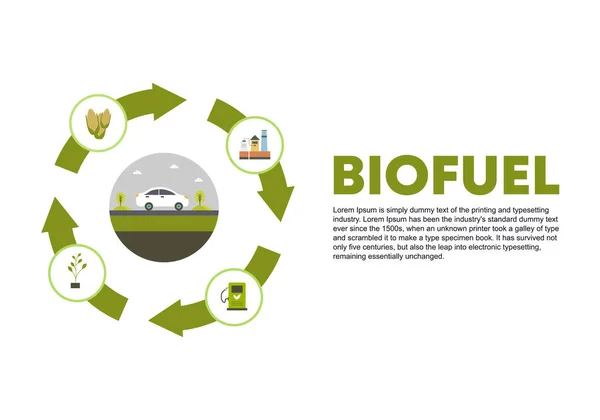 Biyoyakıt Yaşam Döngüsü Vektörü Lignoselülozik Biyokütle Üretimi Mısırdan Etanol Bitkiler — Stok Vektör