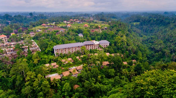 Havadan görünümü alan otel orman.