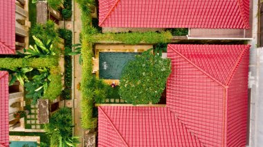 Denpasar Bali dili Köyü.