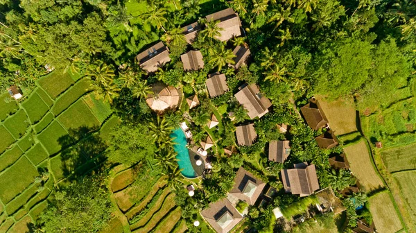 Вид с воздуха на типичную индонезийскую деревню. Вид сверху. — стоковое фото