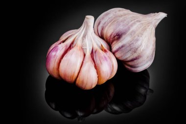 Taze sarımsak ampuller siyah bir zemin üzerine.