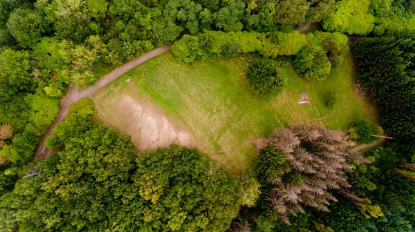 Vista dall'alto del prato in mezzo alla foresta . — Foto Stock