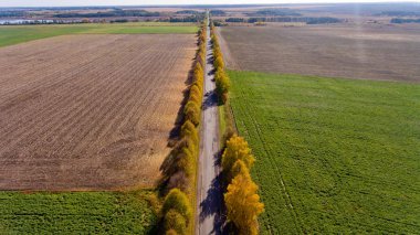 Yol parlak sonbaharda. Havadan görünümü.