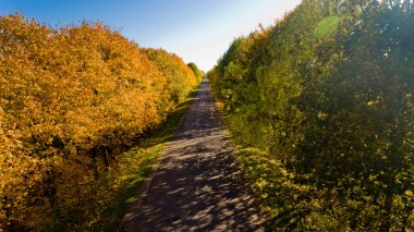 Yolu renkli sonbahar ağaçlar arasında. Havadan görünümü.